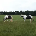 Minicamping Dorpszicht