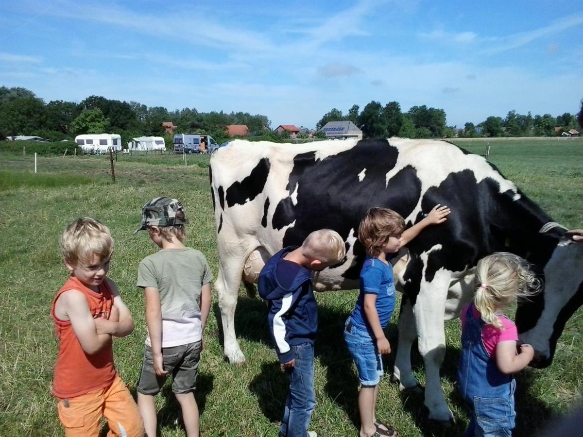 Minicamping Dorpszicht Gapinge